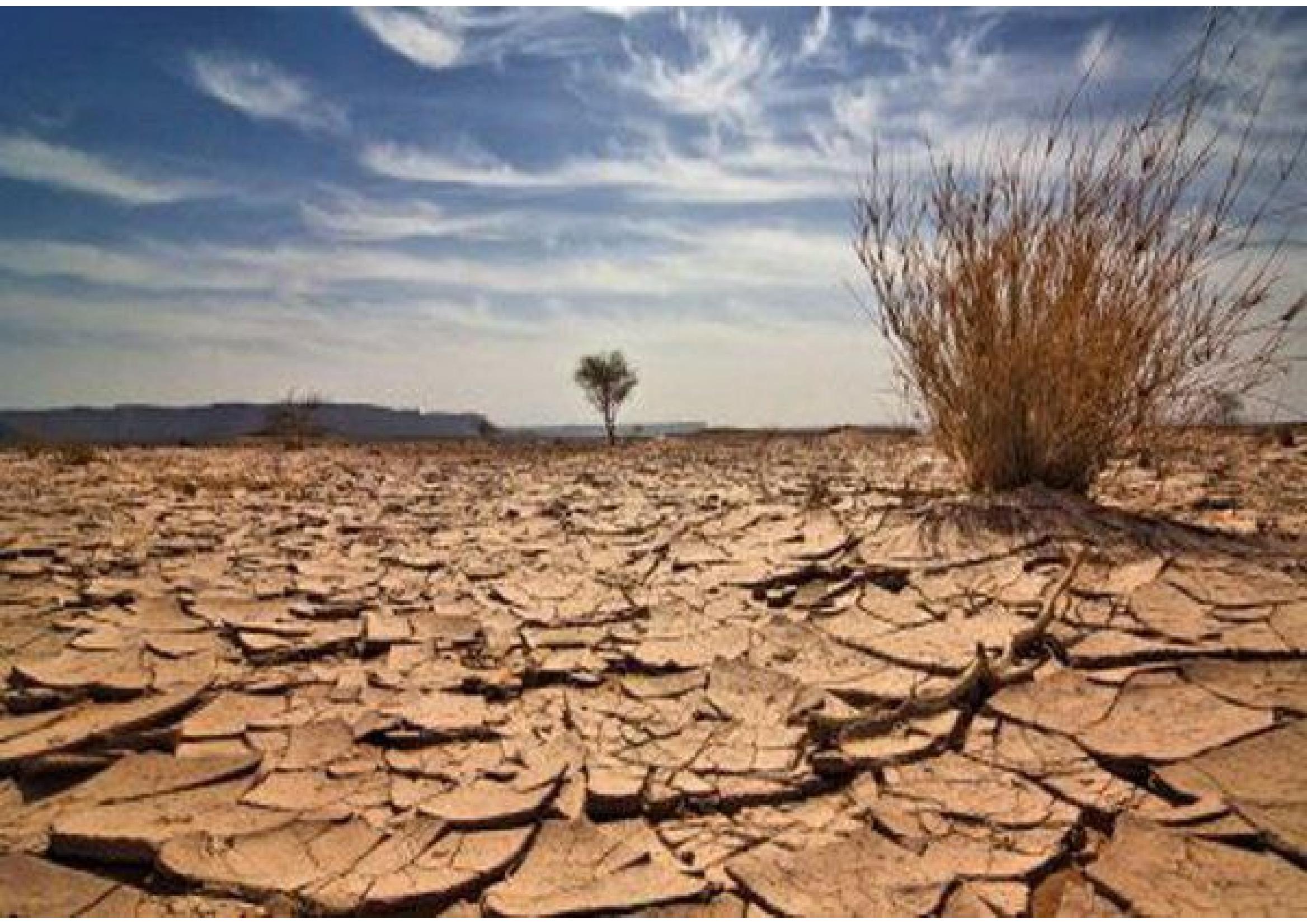 کم آبی، چاره ای فراتر از تعطیلی می‌طلبد