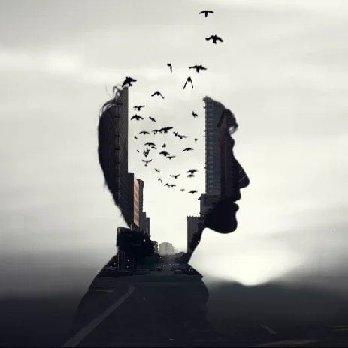 منتظـر طلـوع باش